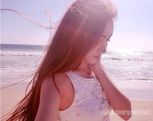 娴静时如娇花照水,行动处似弱柳扶风，娴静时如娇花照水指的是谁