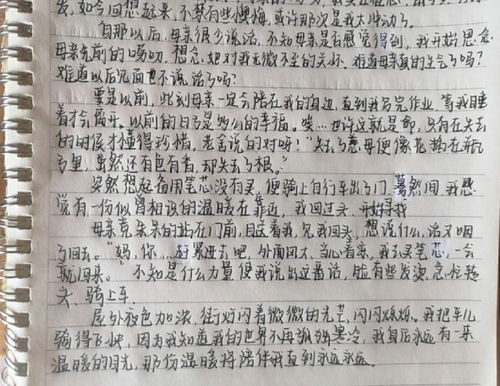 初中作文周记600字