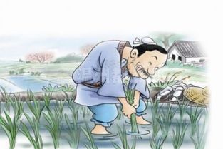 欲速则不达的故事50字，欲速则不达的故事中的商人是一个怎样的人