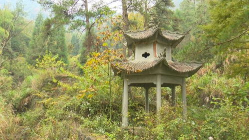 亭的部首和结构，矮的部首怎么读