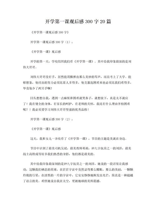 观后感300字以上