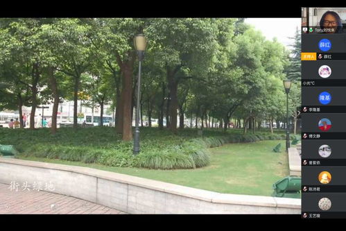 seeding是什么意思啊，seeding clouds