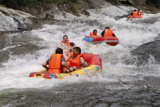 西风漂流详细资料大全