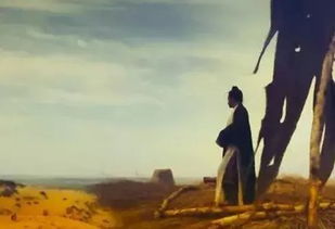 妄念 苏时复苏穗，妄念言西早早