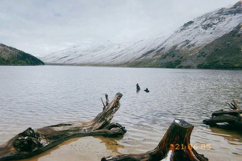 泸定平均海拔高度是多少?