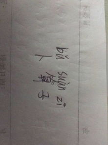 卜算子的读音要正确，卜算子怎么读拼音