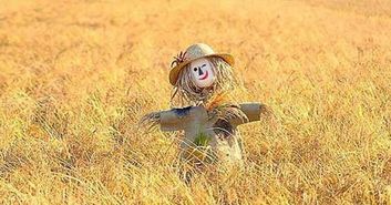 稻草人读后感400字优秀范文，稻草人读后感300字三年级