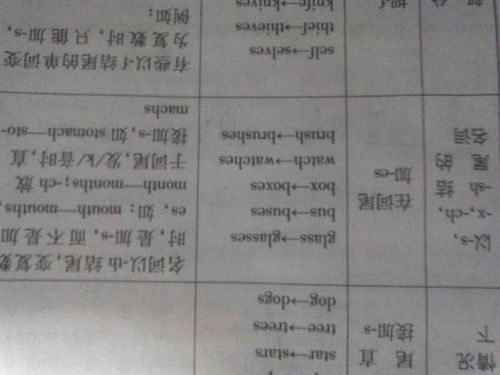 bus复数怎么读，bus复数形式英语怎么写