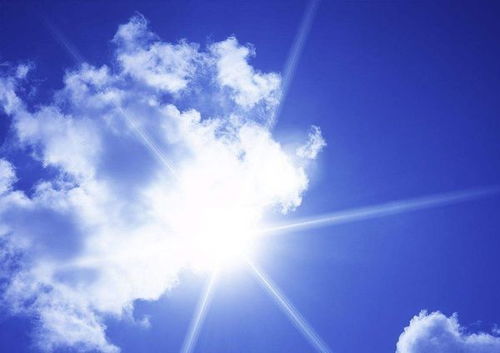 含有阳字的词语