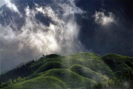 云雾缭绕宛如仙境的诗句，云雾大桥