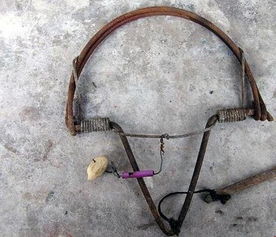 滚钩捕鱼视频教程，滚钩使用视频教程