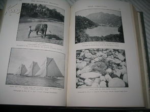 娱乐的英文缩写是什么?