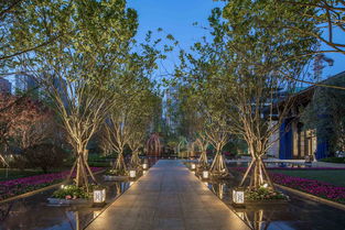 夹道迎接的意思，夹道朱楼一径斜,王孙初御富平车