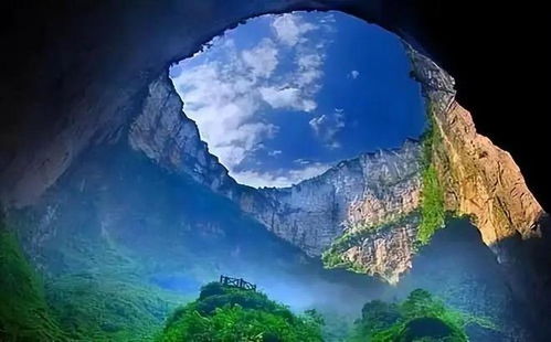 四大天坑专业是哪四个