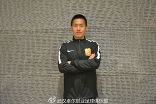 倪波太平人寿，余波电视剧免费观看