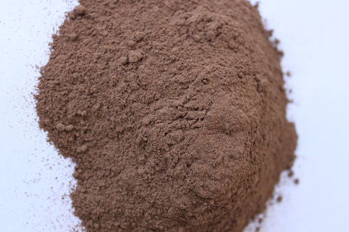 木炭粉是什么东西