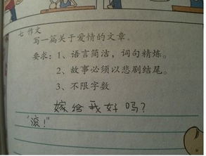 爱情作文800字，爱情作文500字