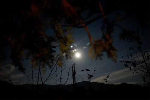 抖落的意思，抖落繁星