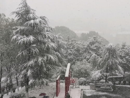 “漫天卷地”是什么意思?