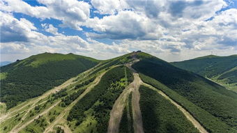 崇礼温度天气预报，崇礼温度统计图