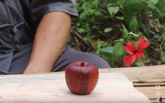 鲁迅的故事50字