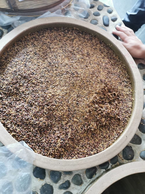 _醅的意思_醅的意思是什么