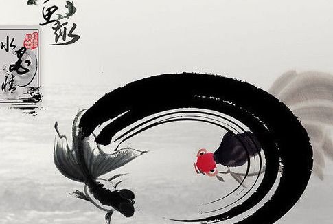 螟蛉之子的意思