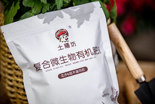 肥肉的拼音，肥料的拼音怎么写的拼音