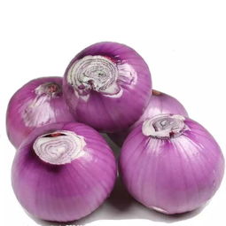 洋葱英语怎么说 洋葱的英文是什么