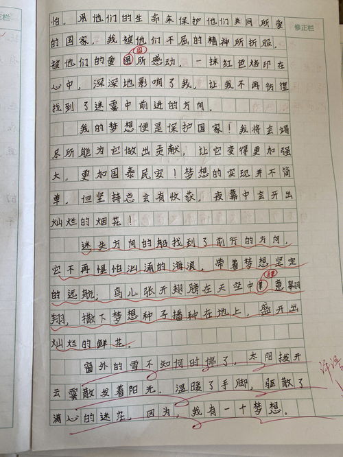 我有一个梦想作文500字