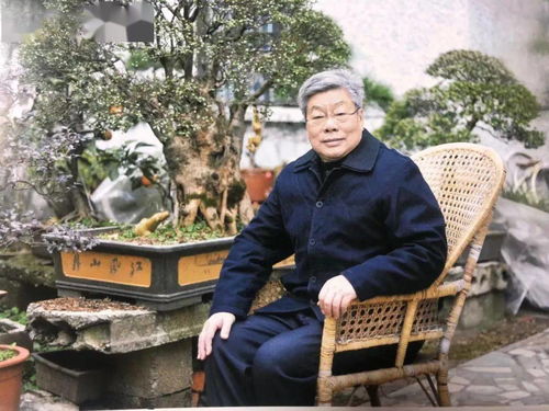 杖朝之年，杖朝之年长三岁碧玉年华减一半