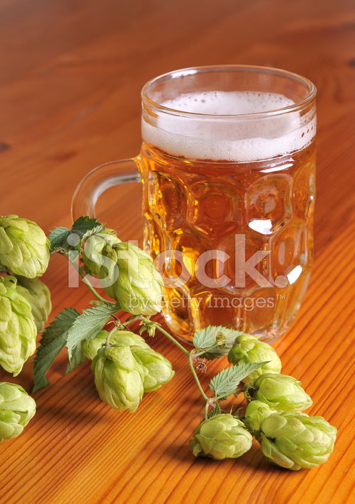 IP中的hops是什么意思啊?