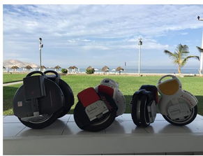 wheel是什么意思