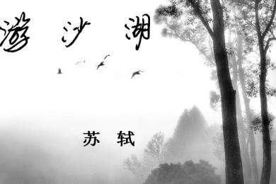 苏轼《游沙湖》原文翻译注释与鉴赏