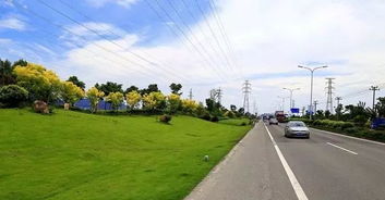 瞻岐镇邮编号码，瞻岐镇卫生院电话号码