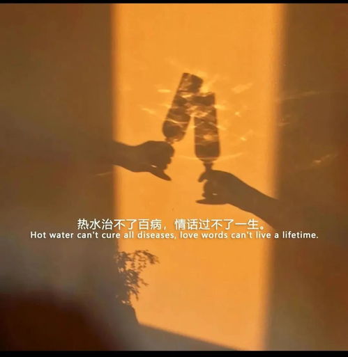 叶佩芬“ 玉兰花开时” 歌词