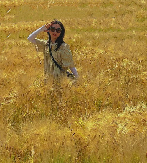 漫漶是什么意思?怎样读?