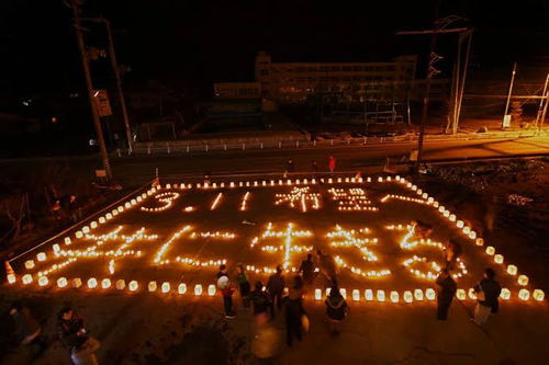 追悼的意思和造句，追悼的意思怎么解释