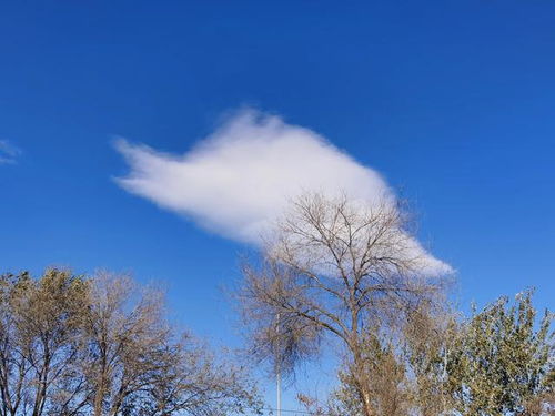 白云一片去悠悠什么意思，白云一片去悠悠的悠悠是什么意思