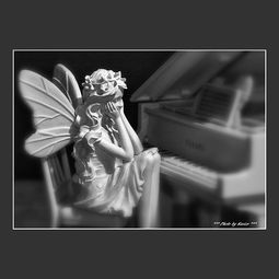 想找一个音乐,MV是一个男的坐在窗内,看着窗外的一切,手里拿着笔写着音