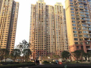 紧邻是什么意思