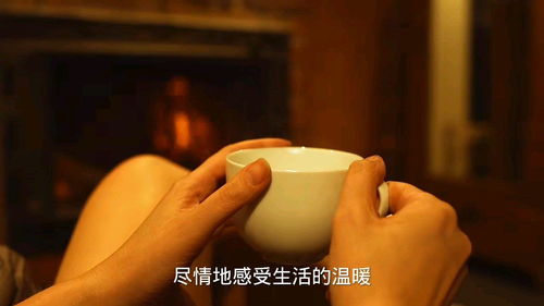 生活经历的作文，生活经历的英文