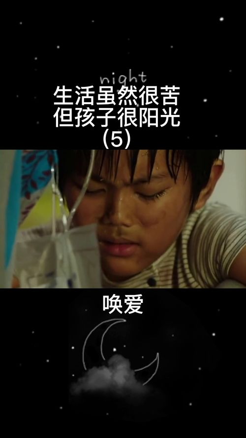 求唤爱2017年百度云资源,杨欣主演的