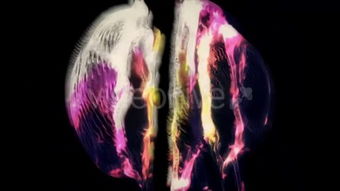 vapour和steam的区别，vapour词根