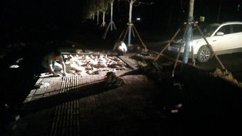 挑灯夜战的下一句