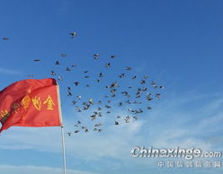 蓝蓝的天蓝蓝的梦纯音乐，蓝蓝的天蓝蓝的梦是哪年的歌