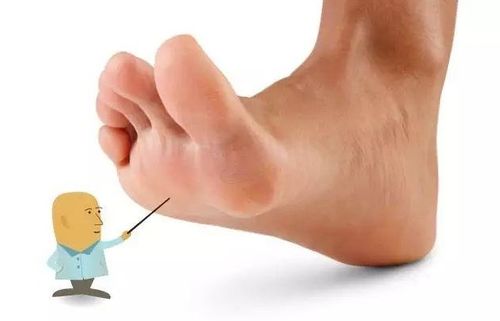 英语的五个脚指分别怎么说?