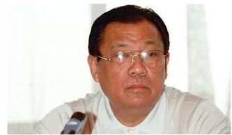 程维高的儿子现在的情况