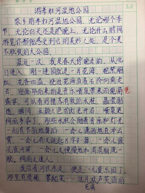 写老师的作文300字，关于描写老师的作文400字