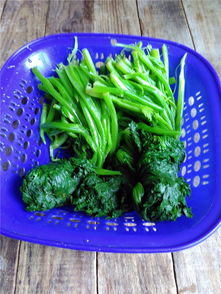 的做法,素炒鸡冠菜怎么做好吃,素炒鸡冠菜的家常做法